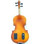 4/4 Electric violin with all accessories_63e0b92ae66b5.jpeg