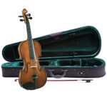 Cremona SV-130 Premier Novice Violin Outfit – 4/4 Size_63e0c1c0cb8b2.jpeg