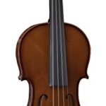 Stentor 1400C2 violin_63e0b5150b752.jpeg