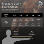 Stentor Standard Violin Outfit 3/4 Size, Brown – 1018C_63e0b735bc33c.jpeg